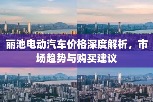 丽池电动汽车价格深度解析，市场趋势与购买建议