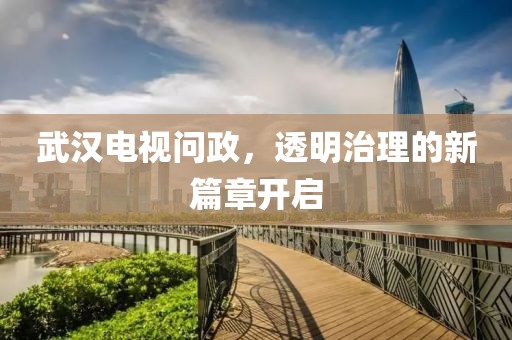 武汉电视问政，透明治理的新篇章开启