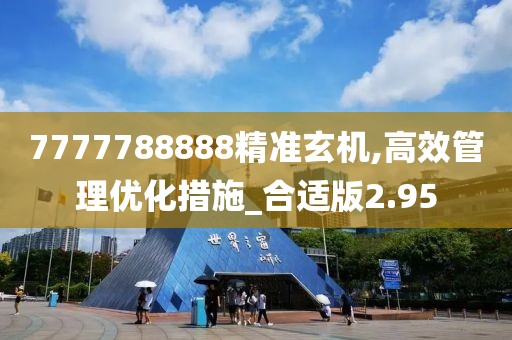 7777788888精准玄机,高效管理优化措施_合适版2.95