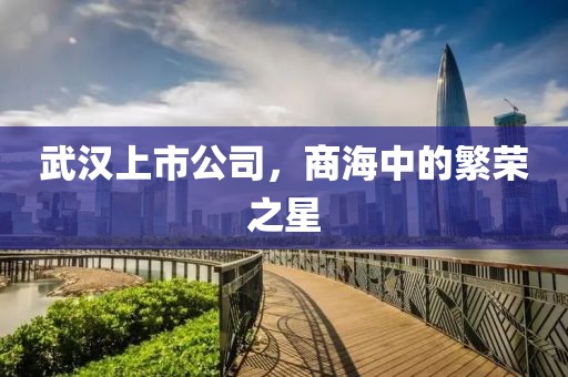 武汉上市公司，商海中的繁荣之星