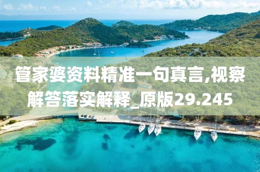 管家婆资料精准一句真言,视察解答落实解释_原版29.245