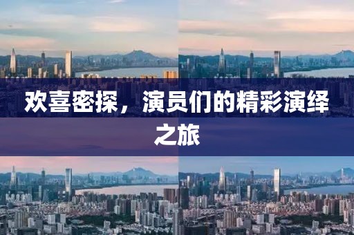 欢喜密探，演员们的精彩演绎之旅