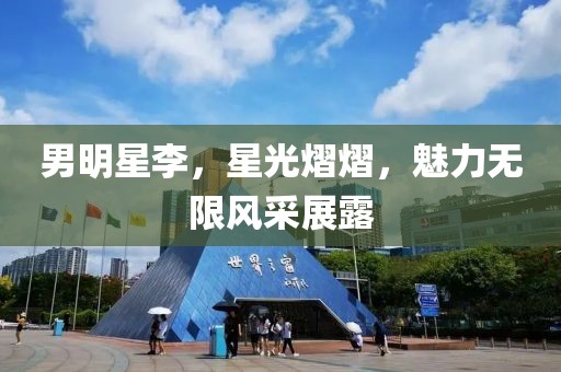 男明星李，星光熠熠，魅力无限风采展露