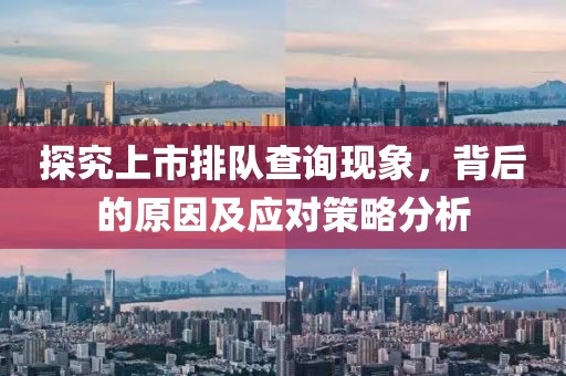 探究上市排队查询现象，背后的原因及应对策略分析
