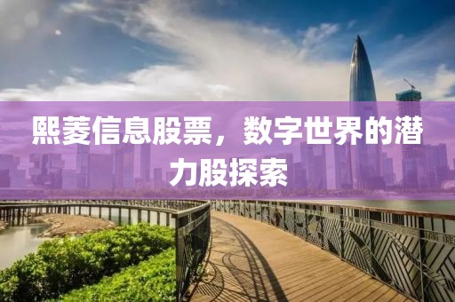 熙菱信息股票，数字世界的潜力股探索