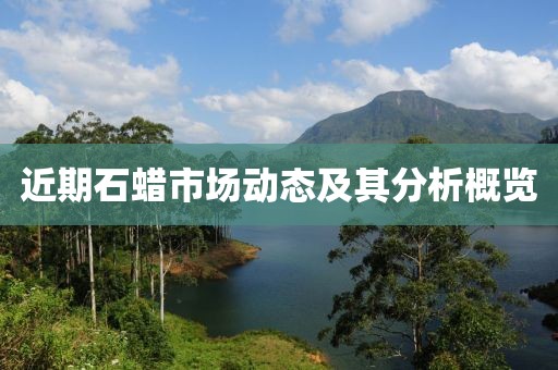 近期石蜡市场动态及其分析概览