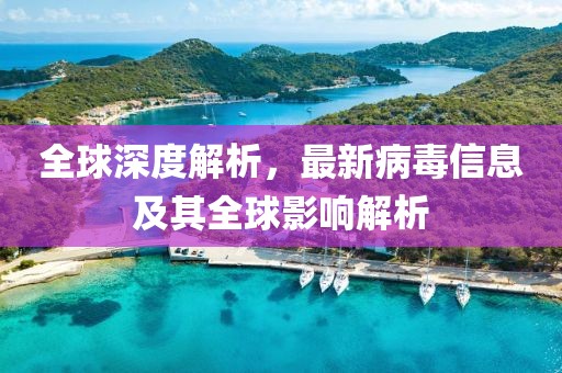 全球深度解析，最新病毒信息及其全球影响解析