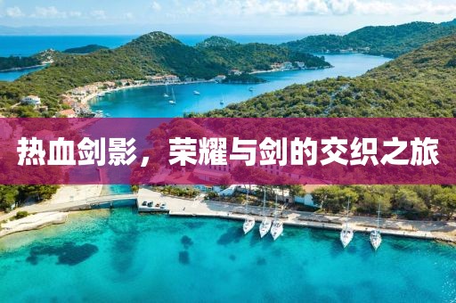 热血剑影，荣耀与剑的交织之旅