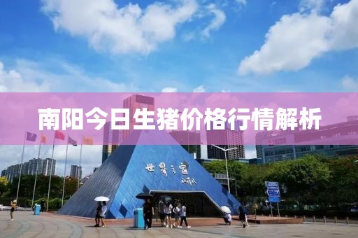 南阳今日生猪价格行情解析
