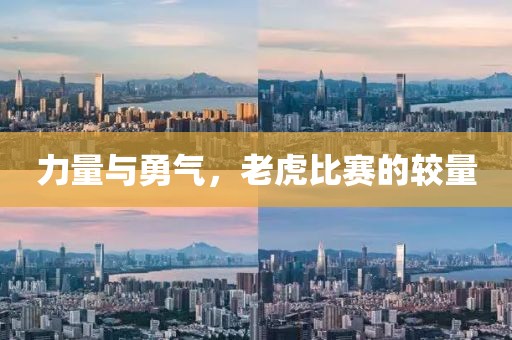 力量与勇气，老虎比赛的较量