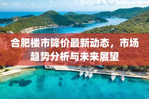 合肥楼市降价最新动态，市场趋势分析与未来展望