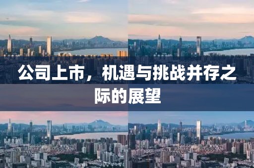公司上市，机遇与挑战并存之际的展望