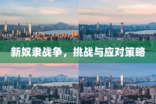 新奴隶战争，挑战与应对策略