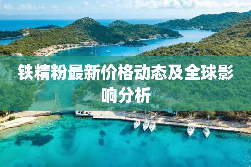 铁精粉最新价格动态及全球影响分析