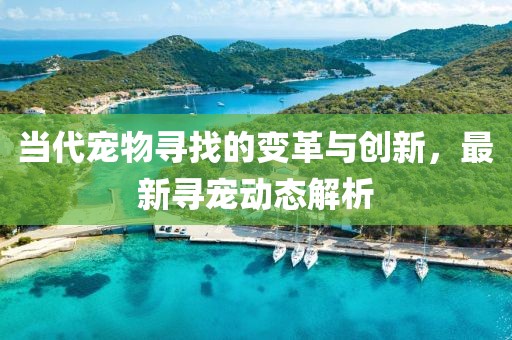 当代宠物寻找的变革与创新，最新寻宠动态解析