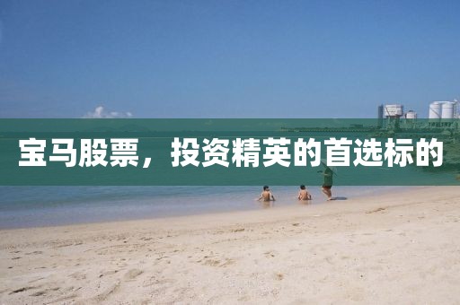 宝马股票，投资精英的首选标的