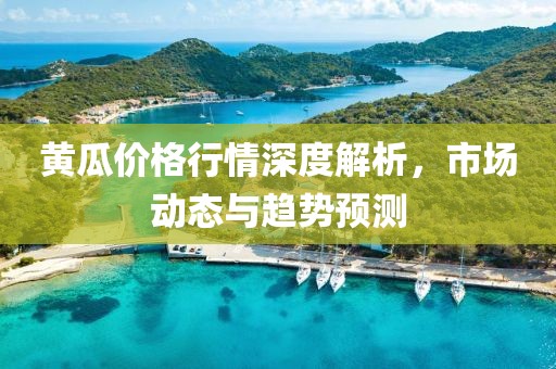 黄瓜价格行情深度解析，市场动态与趋势预测