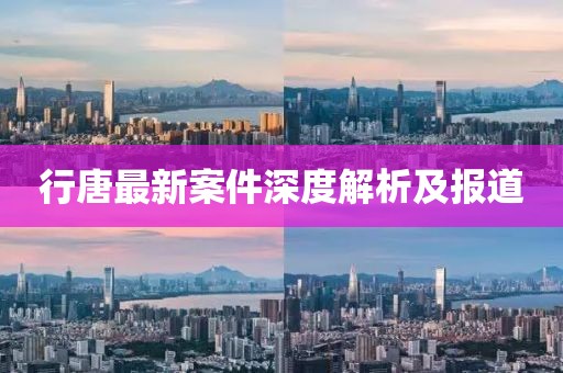 行唐最新案件深度解析及报道