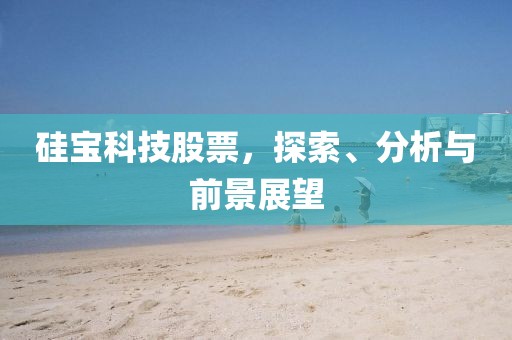 硅宝科技股票，探索、分析与前景展望