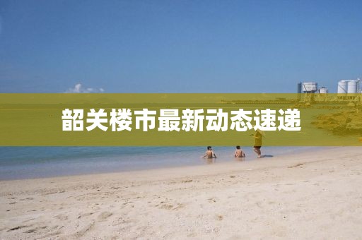 韶关楼市最新动态速递