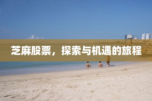 芝麻股票，探索与机遇的旅程