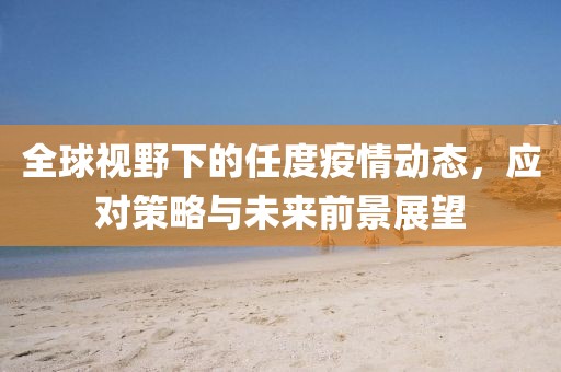 全球视野下的任度疫情动态，应对策略与未来前景展望