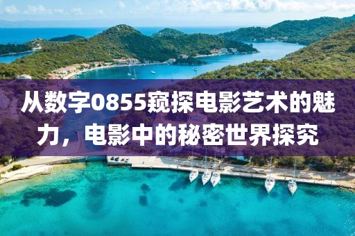 从数字0855窥探电影艺术的魅力，电影中的秘密世界探究