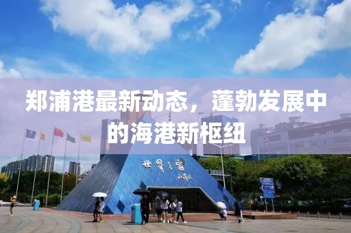 郑浦港最新动态，蓬勃发展中的海港新枢纽