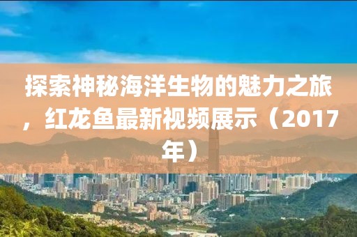 探索神秘海洋生物的魅力之旅，红龙鱼最新视频展示（2017年）