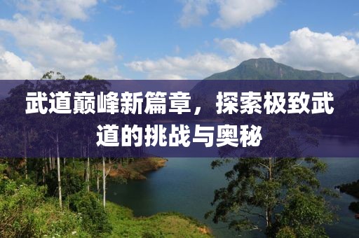 武道巅峰新篇章，探索极致武道的挑战与奥秘