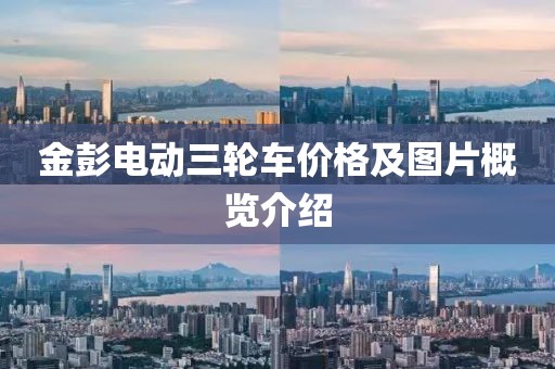 金彭电动三轮车价格及图片概览介绍