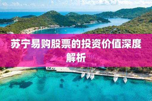 苏宁易购股票的投资价值深度解析