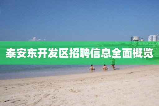 泰安东开发区招聘信息全面概览