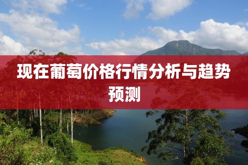 现在葡萄价格行情分析与趋势预测