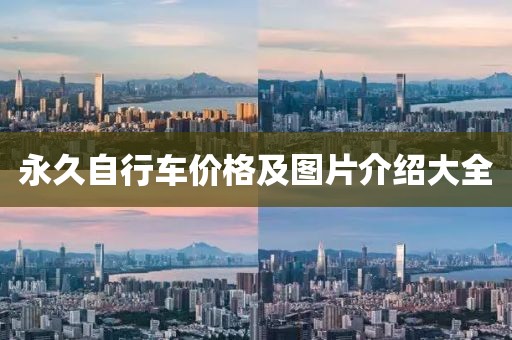 永久自行车价格及图片介绍大全