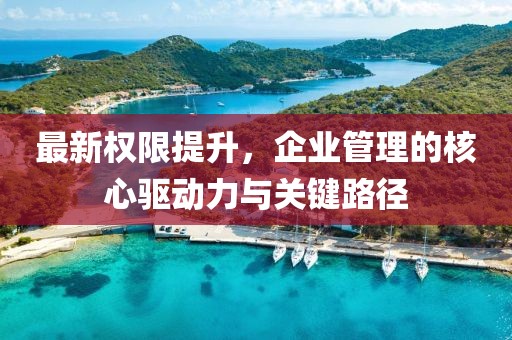 最新权限提升，企业管理的核心驱动力与关键路径