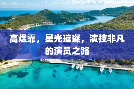 高煜霏，星光璀璨，演技非凡的演员之路