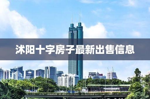 沭阳十字房子最新出售信息