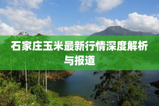 石家庄玉米最新行情深度解析与报道