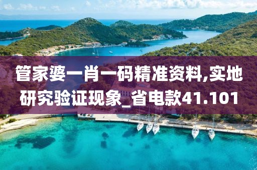 管家婆一肖一码精准资料,实地研究验证现象_省电款41.101