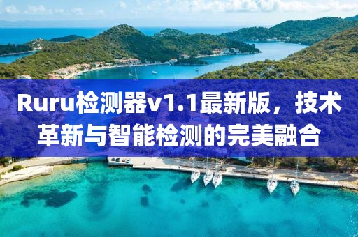 Ruru检测器v1.1最新版，技术革新与智能检测的完美融合