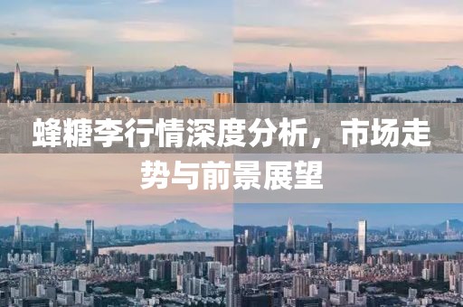 梦想天空分外蓝 第11页