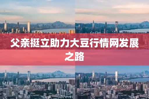 父亲挺立助力大豆行情网发展之路