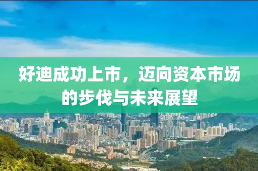 好迪成功上市，迈向资本市场的步伐与未来展望
