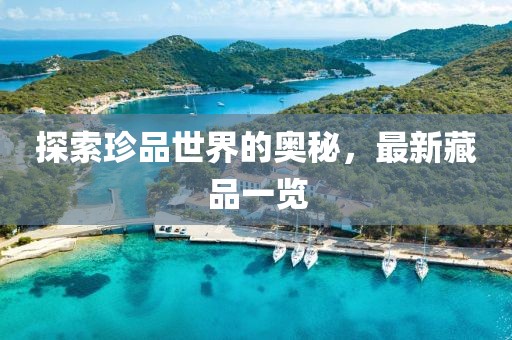 探索珍品世界的奥秘，最新藏品一览