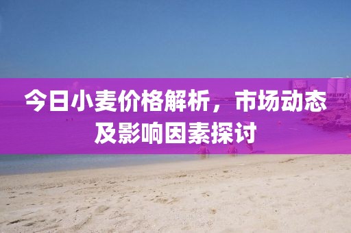 今日小麦价格解析，市场动态及影响因素探讨