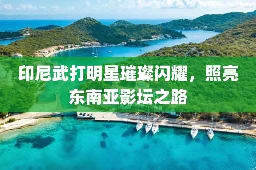 印尼武打明星璀璨闪耀，照亮东南亚影坛之路