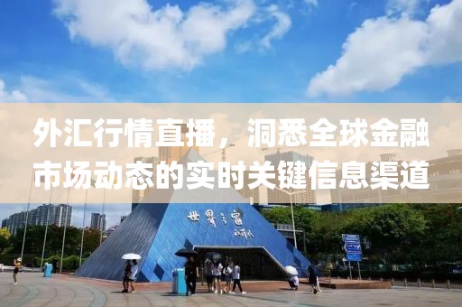 外汇行情直播，洞悉全球金融市场动态的实时关键信息渠道