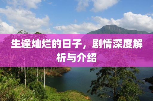 生逢灿烂的日子，剧情深度解析与介绍