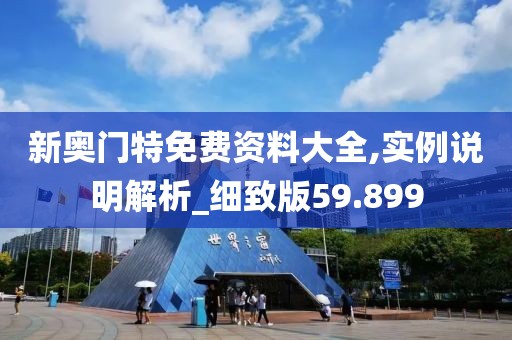 新奥门特免费资料大全,实例说明解析_细致版59.899